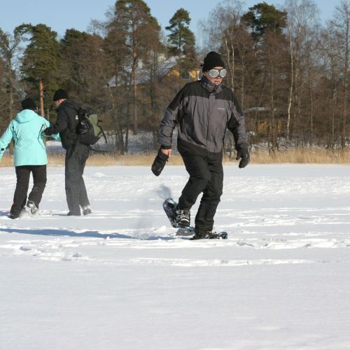 Hauskoja sovelluksi oikeista olympialajeista