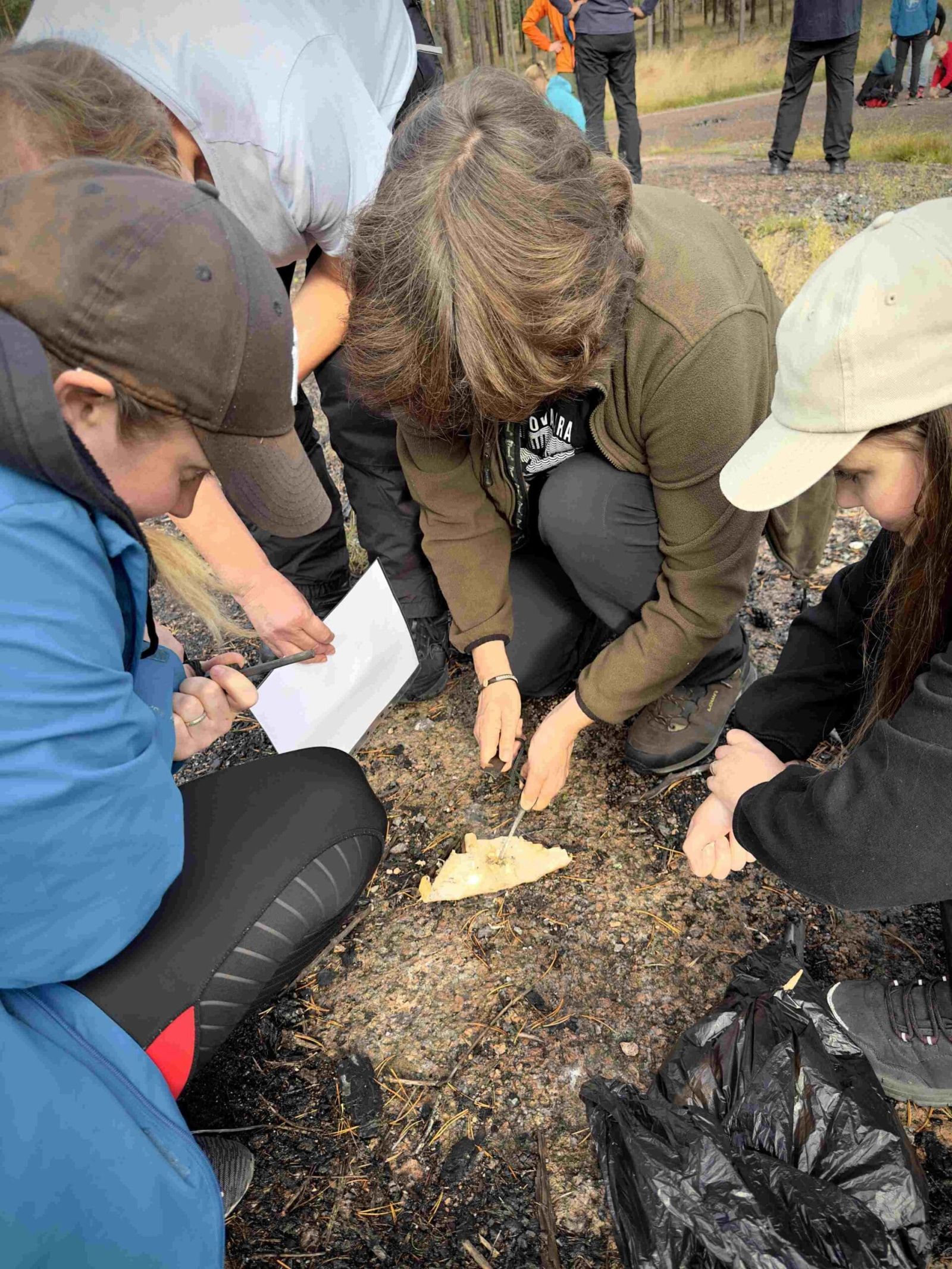 Komapssi & kipinä tiimiohjlema luonnossa